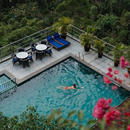 The Panoramic Getaway Hotell Munnar Eksteriør bilde The swimming pool at the hotel
